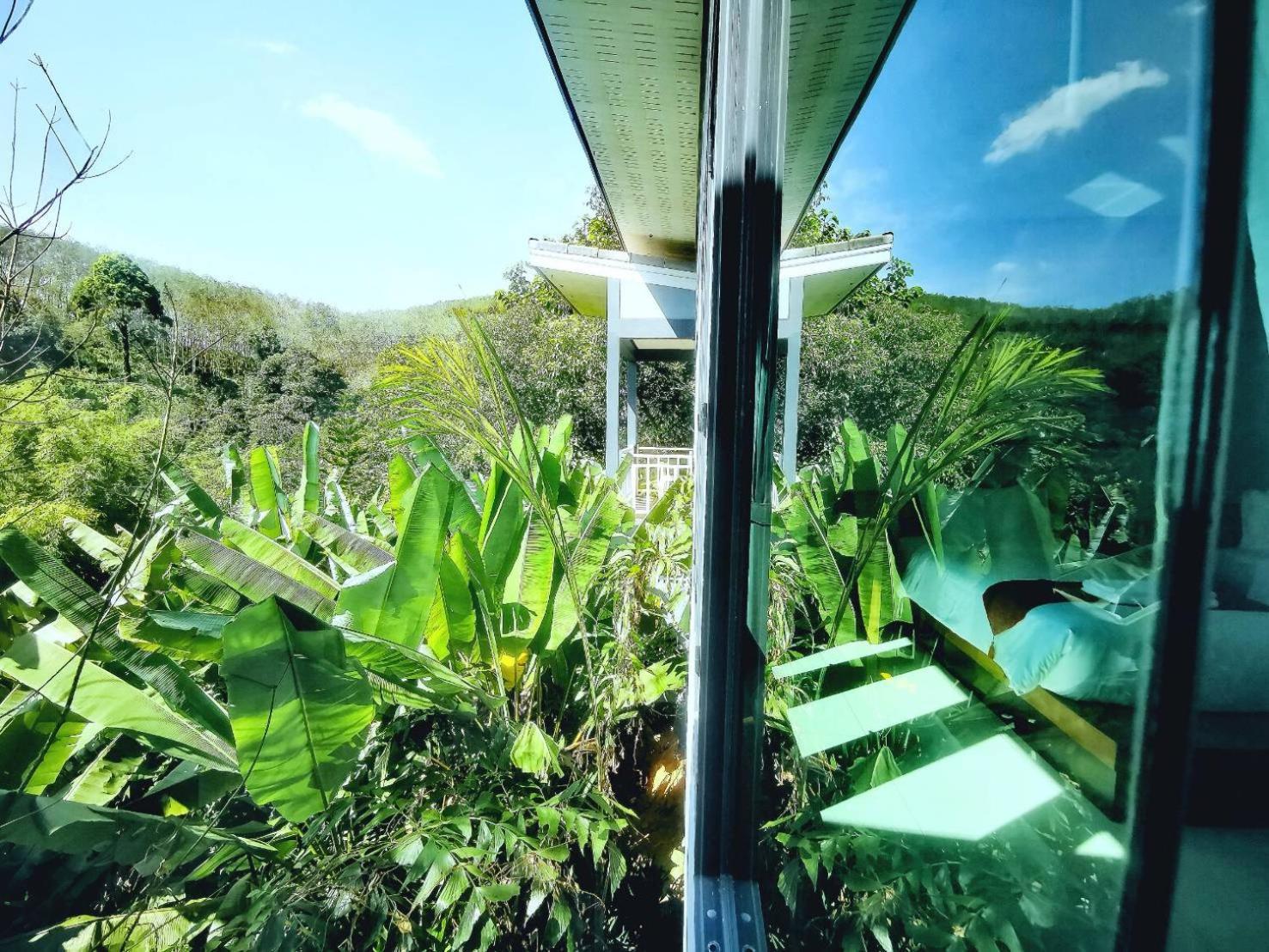 Bangnu Greenery Resort Takua Thung Exteriér fotografie