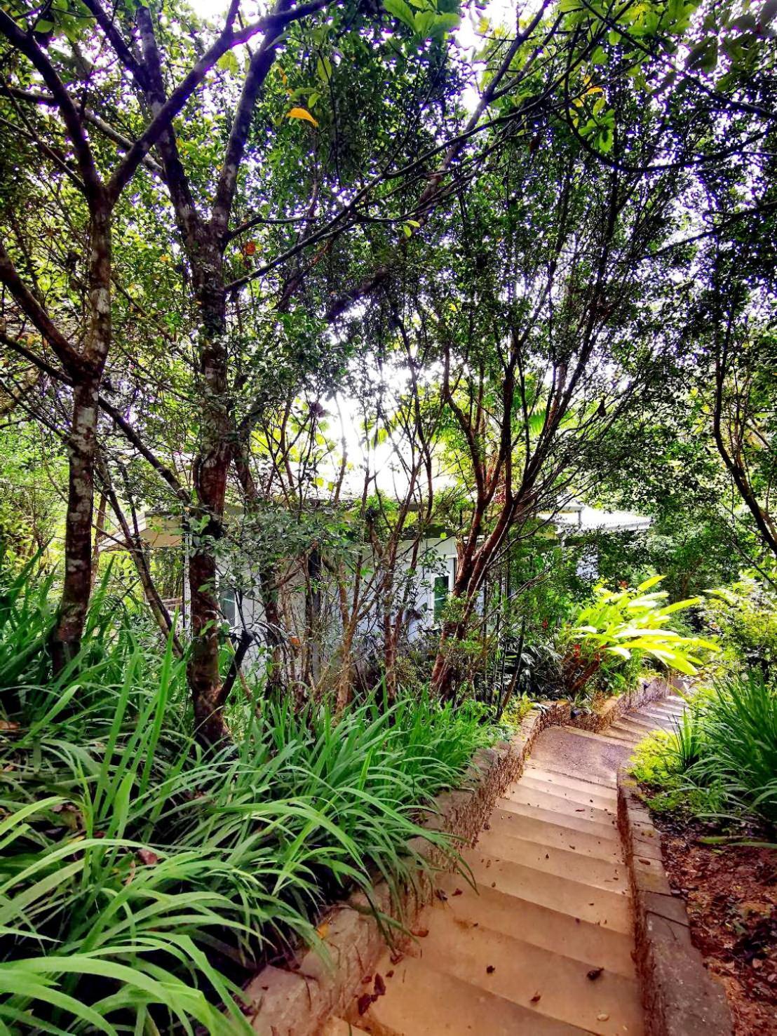 Bangnu Greenery Resort Takua Thung Exteriér fotografie