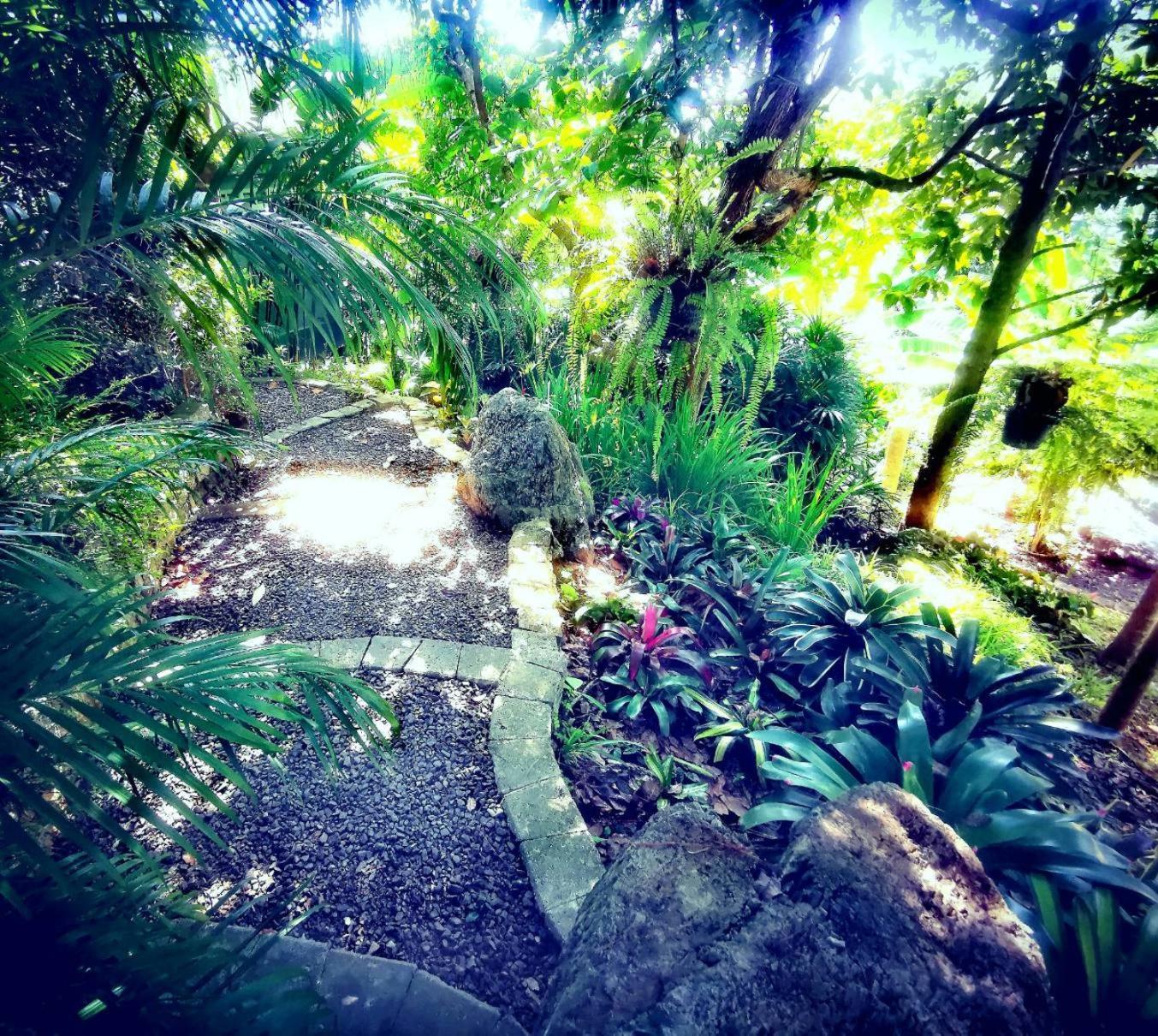 Bangnu Greenery Resort Takua Thung Exteriér fotografie