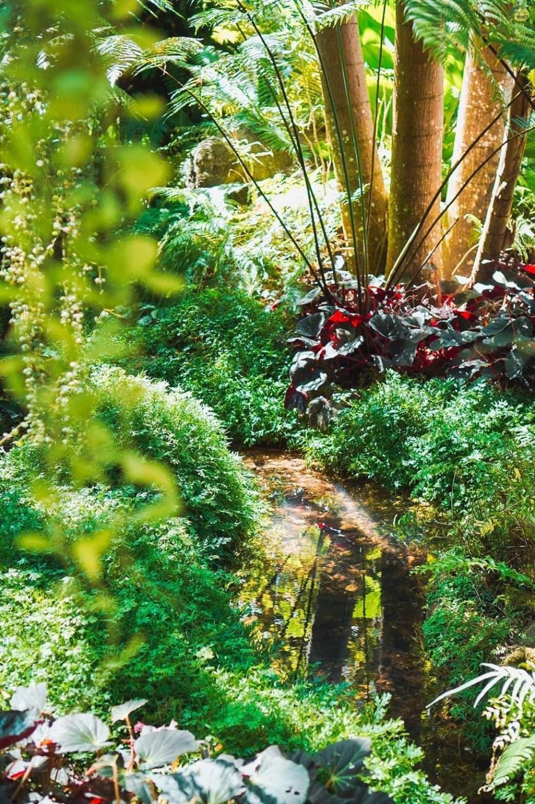 Bangnu Greenery Resort Takua Thung Exteriér fotografie